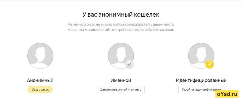 Анонимно ваш. Юмани идентифицированный. Юмани статусы кошелька. Статусы верификации Юмани. Статус электронного кошелька анонимный.